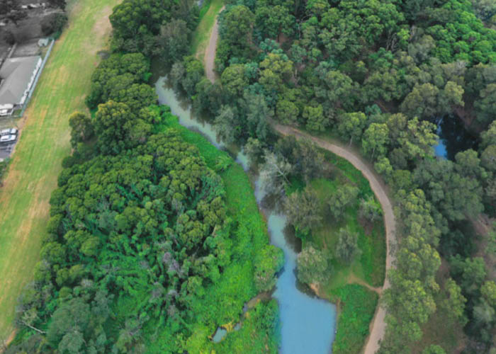 Duck River aerial view