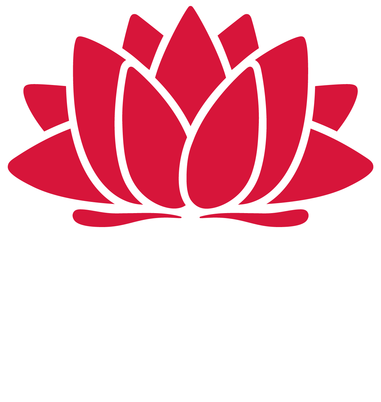 NSW Government Logo