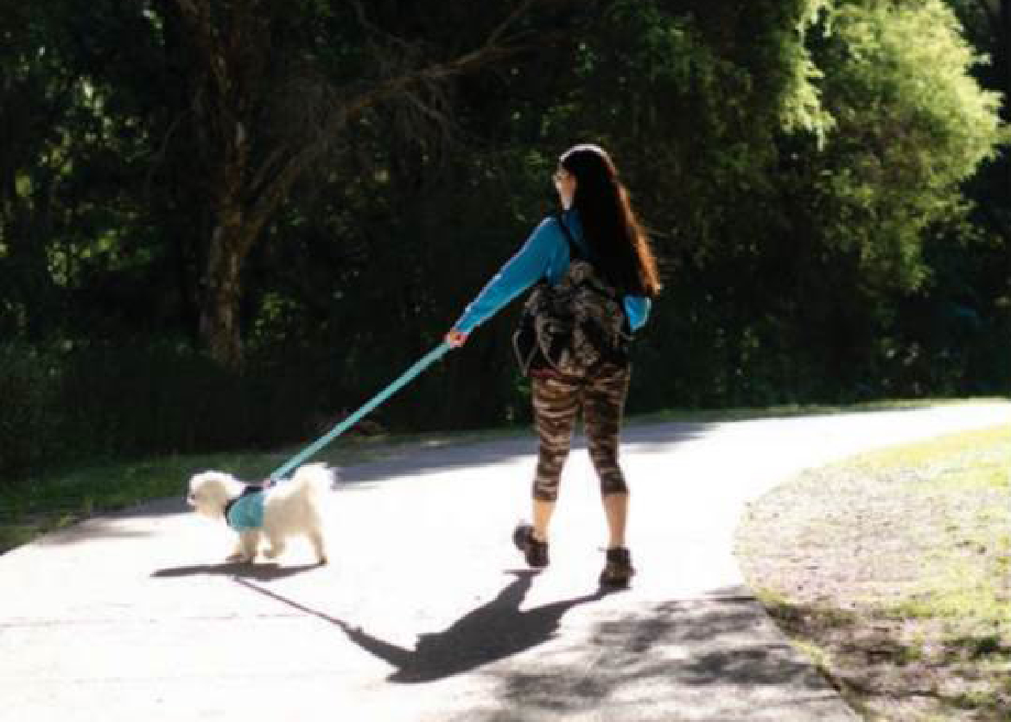 Woman walking a dog