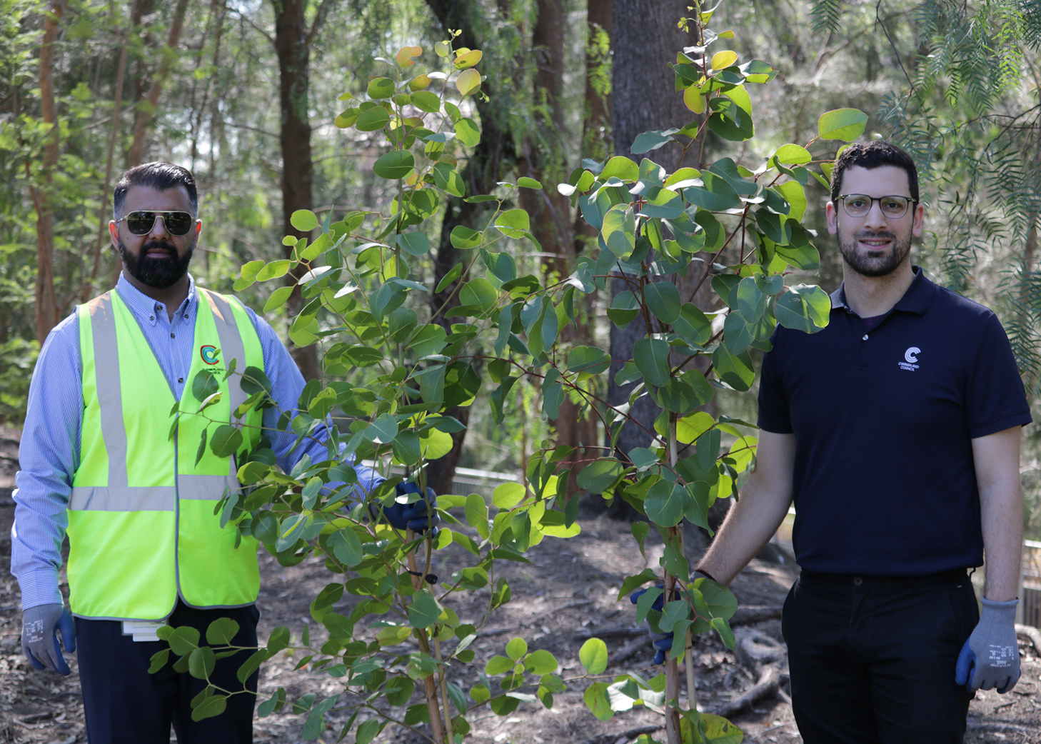 Cumberland City Council staff with saplings for tree planting day