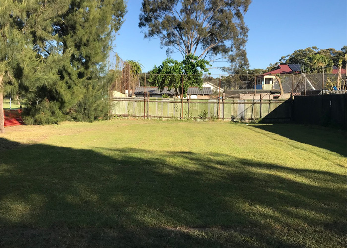 Photo of suburban park